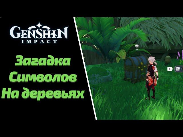 ЗАГАДКА СИМВОЛОВ НА ДЕРЕВЬЯХ | ЧАЩА АПАМ | РОСКОШНЫЙ  СУНДУК | GENSHIN IMPACT