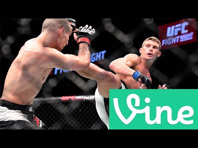 BEAT DROP VINE COMPILATION [MMA/UFC EDITION]!