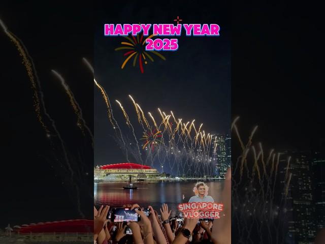 Singapore newyear celebration and fireworks #singapore #newyear #newyear2025 #vlogs #vlog #2025 #sg