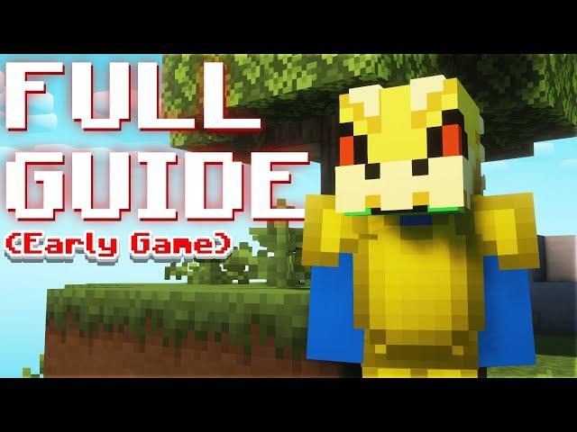 The ONLY Beginner's Guide You'll Need For Hypixel Skyblock