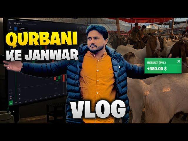 Qurbani ke janwar la lya | eid ki tayari vlog | eid ka bakra eid mubarak | live trade | #Acterph