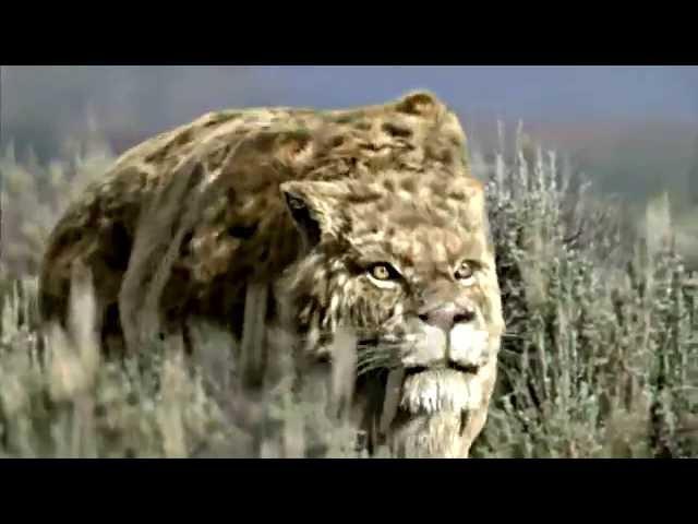 SMILODON - Sabre Toothed Beast [HD]