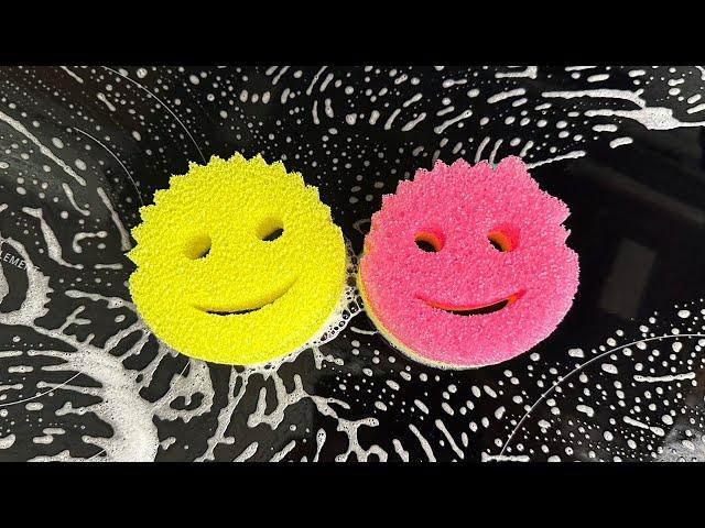 Scrub Daddy VS Scrub Mommy (What’s the difference?)