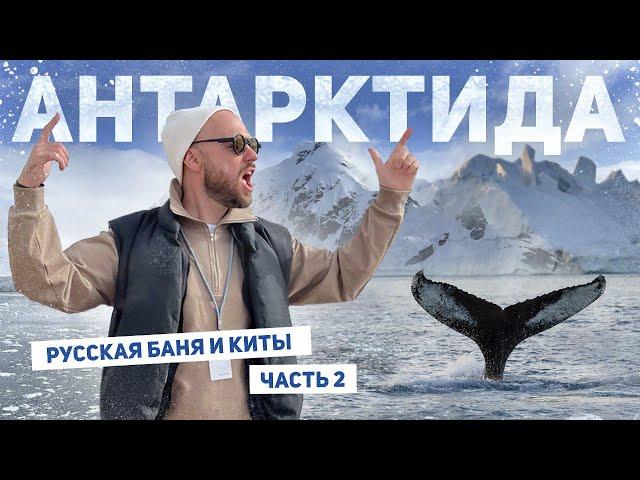 Русская баня в Антарктиде. Киты, полярники, пингвины. Часть 2