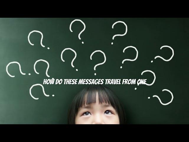 Meet the Neurons! The Brain’s Busy Messengers