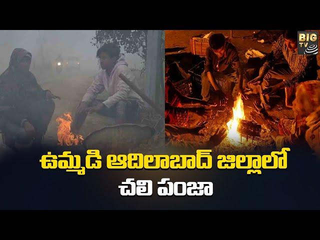 ఉమ్మడి ఆదిలాబాద్ జిల్లా లో చలి పంజా | Adilabad District | Weather Report | BIG TV