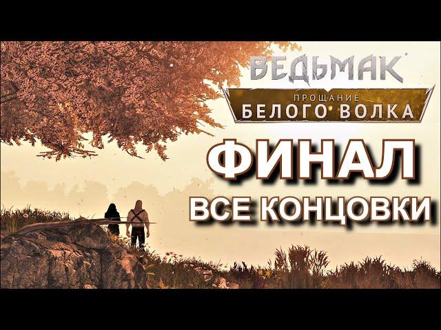 ВСЕ КОНЦОВКИ мода ВЕДЬМАК. ПРОЩАНИЕ БЕЛОГО ВОЛКА. ФИНАЛ прохождения Farewell of the White Wolf.