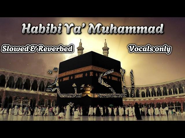 Slowed Down: Habibi Ya Muhammad By Maher Zain