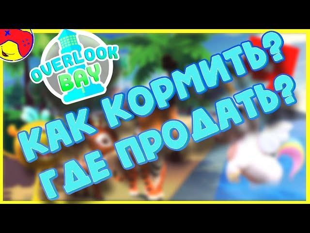  OVERLOOK BAY  Как кормить пета?Как заработать? ответы на вопросы. roblox