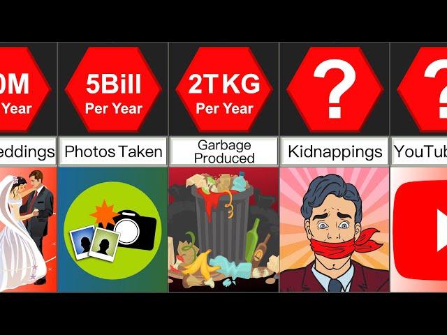 What Happens Every Year? | Comparison | DataRush 24