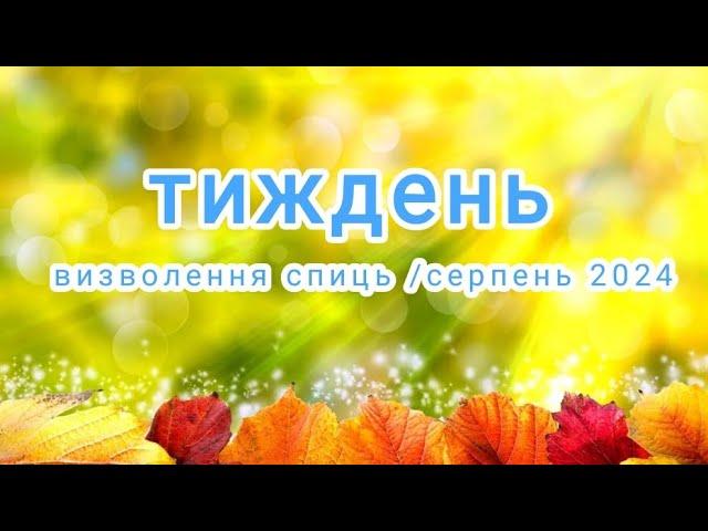 Щось не дуже визволялося... Дві посилочки та подарунки #тиждень_визволення_спиць_серпень_2024