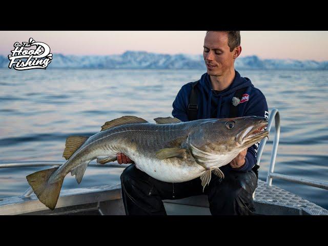 Best Cod Fishing in the World!? (25kg+)