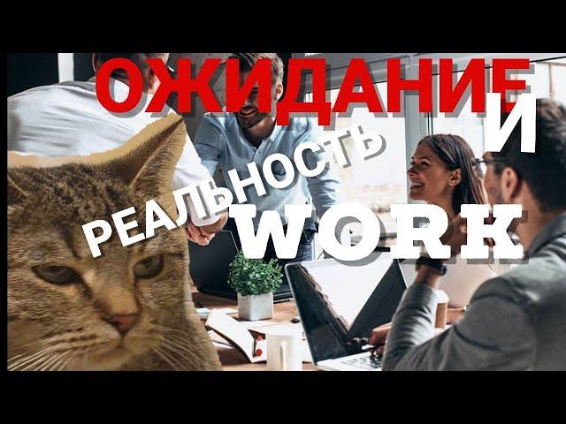 Работа в Польше/Обещания/надежды и реальность/ 2021