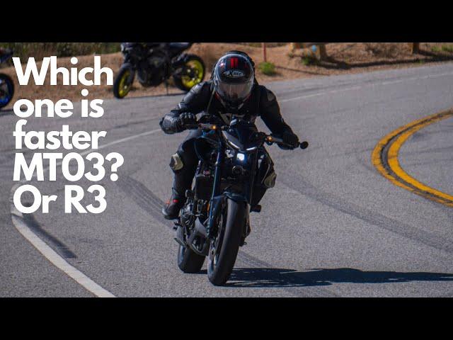 Naked Yamaha MT03 vs Faired Yamaha R3 | Road Racing !