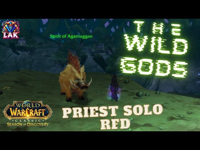 THE WILD GODS \ PRIEST SOLO RFD [ World of Warcraft ]