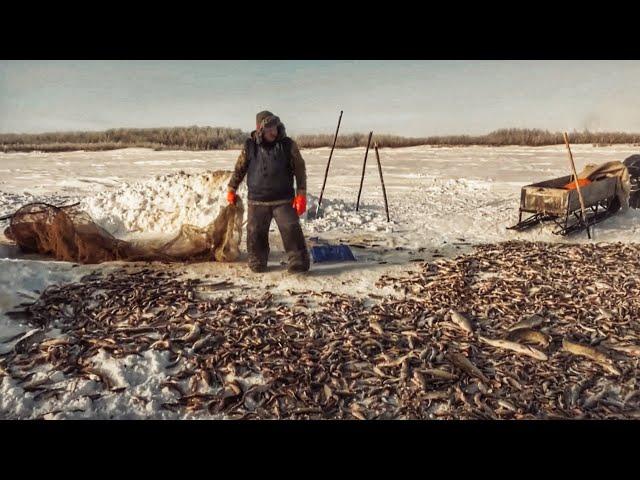 Рыбалка на окуня с хантами. Огромные щуки! 2 тонны рыбы! Крайний Север | C полем! Лучшие выпуски