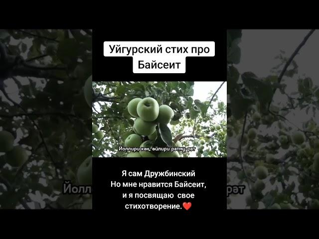 уйгурские стих про Байсеит