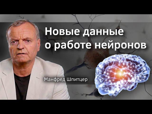 Новые данные о работе нейронов. Профессор Шпитцер. Verba Mayr