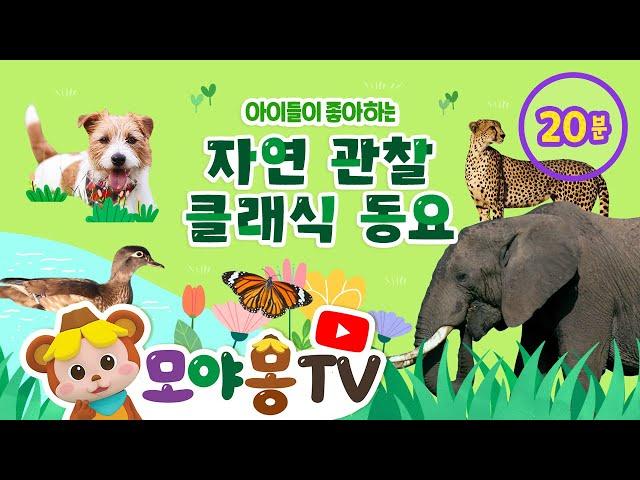 아이들이 좋아하는 자연 관찰 동요｜클래식 동요｜연속재생｜ 모야몽TV｜리틀천재