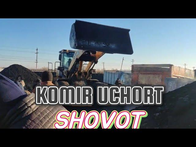 XORAZM SHOVOTDA KOMIR XARDOIM UCHORT.