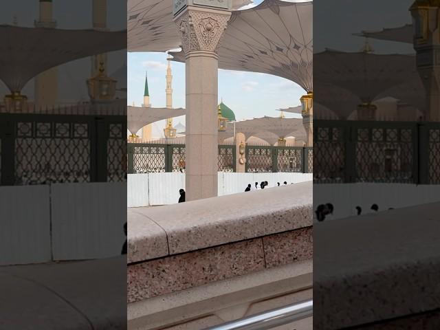 har waqt tasawar me #madina #makkah #naat #beautiful #islam #islamicstatus #islamicshorts