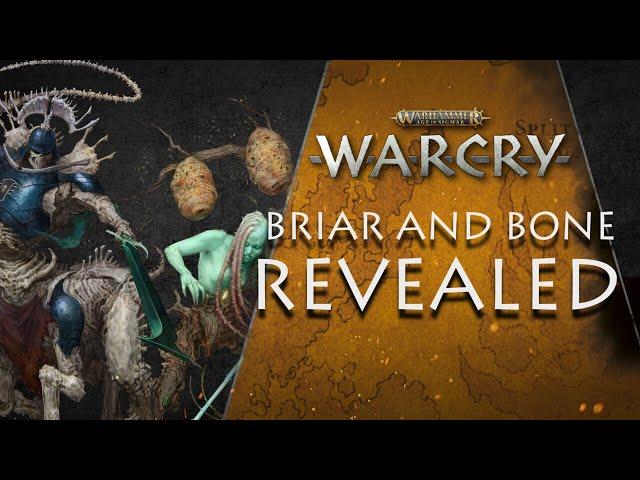 Tormented Warbands Collide – Warcry