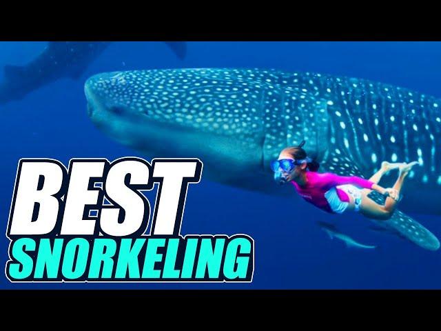 10 BEST SNORKELING DESTINATIONS in the World