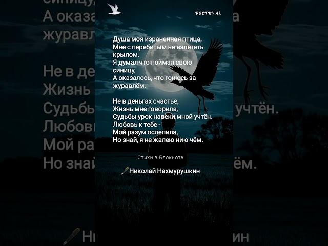 Жми | "Душа моя израненная птица"