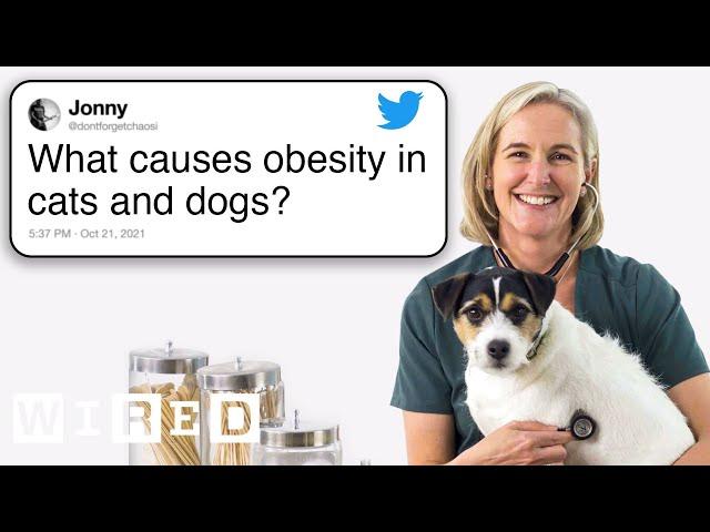 Veterinarian Answers Pet Questions From Twitter | Tech Support | WIRED