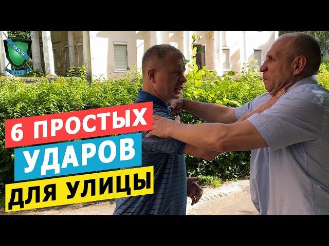 6 ЭФФЕКТИВНЫХ УДАРОВ для УЛИЦЫ || Михаил Стёпырев || Система НЕВОД #невод #удары #стёпырев