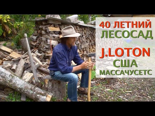 Пермакультура в холодном климате Джефф Лотон