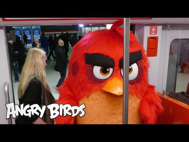 Angry Birds - Red takes the Länsimetro to work