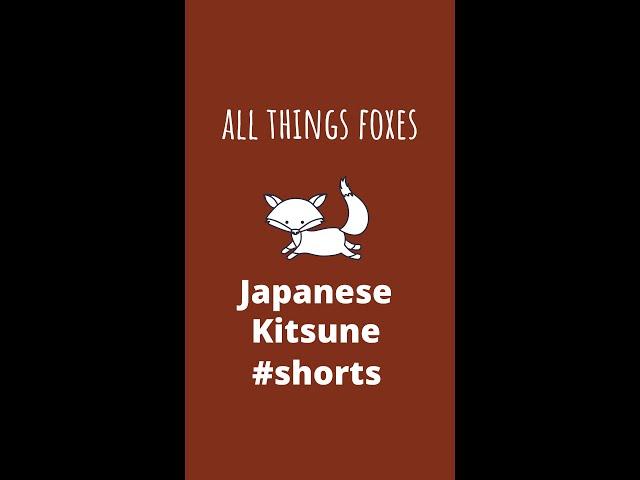 Japanese Kitsune Fox | #Shorts