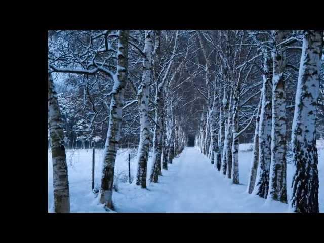 Сукачев Гарик - Белые дороги