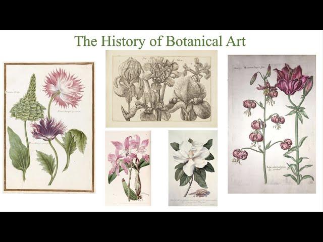 History of Botanical Art