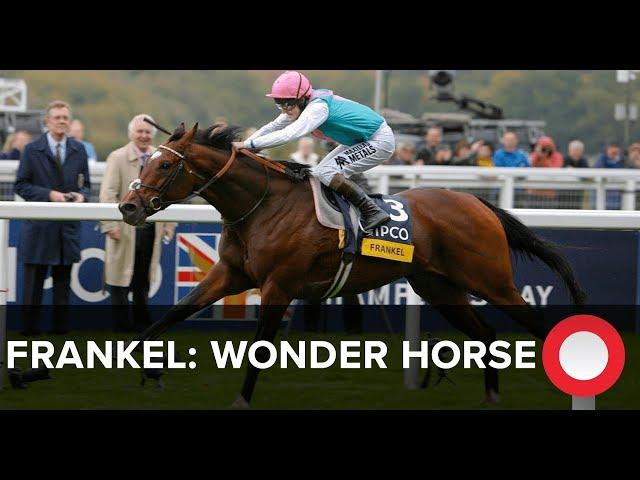 Frankel: Wonder Horse