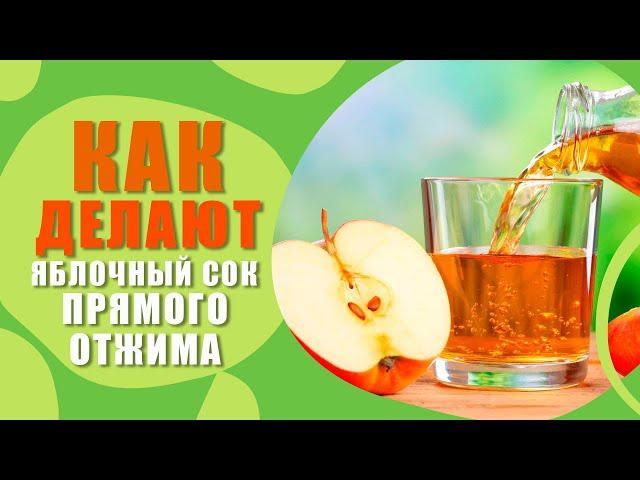 Как делают яблочный сок прямого отжима