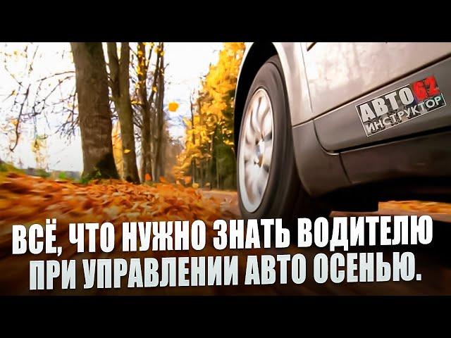 Всё, что нужно знать водителю о вождении в осенний период.