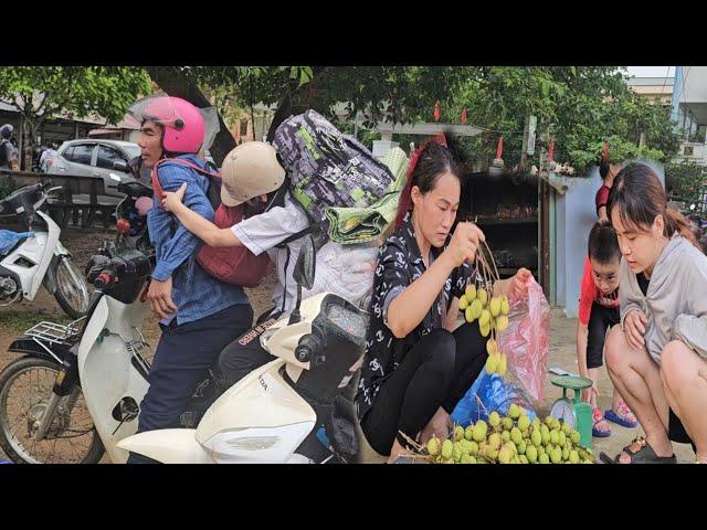Vien picks fruit to sell. Tam goes to pick Quy up to go home for summer vacation.