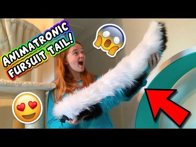 THIS TAIL MOVES ON ITS OWN?? ~ The Tail Company Review