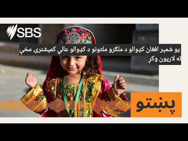 یو شمېر افغان کډوالو د ملګرو ملتونو د کډوالو عالي کمیشنرۍ مخې ته لاریون وکړ | SBS Pashto - اس بي...