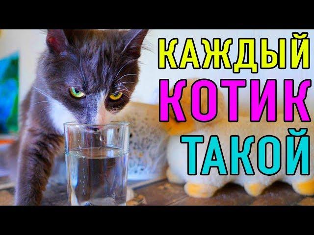 КАЖДЫЙ КОТИК ТАКОЙ | ПАРОДИЯ Magic Pets