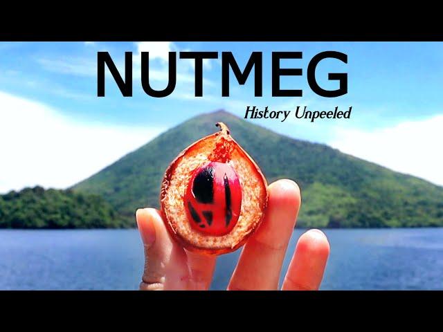 NUTMEG: The Horrible History Behind The Popular Spice