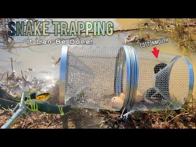 Snake Trapping with Minnow Traps