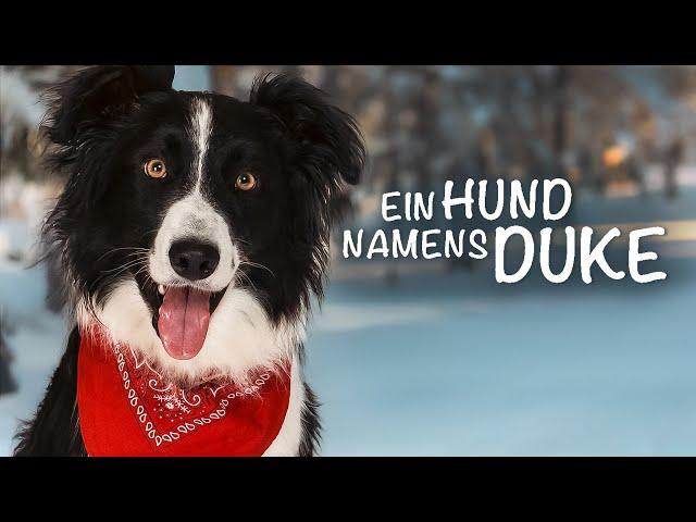 Ein Hund namens Duke (FAMILIENFILM I spannende Spielfilme auf Deutsch, kostenlos streamen)