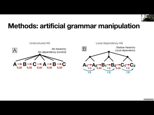 Arturs Semenuks (Cognitive Science) on "Neural Sensitivity to Grammatical Structure"