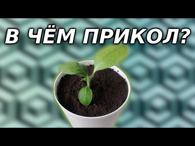 Почему КОМНАТНЫЕ РАСТЕНИЯ – это интересно и круто?