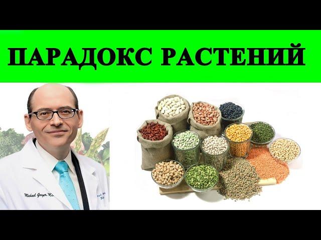 Парадокс Растений (Лектины) - Доктор Майкл Грегер