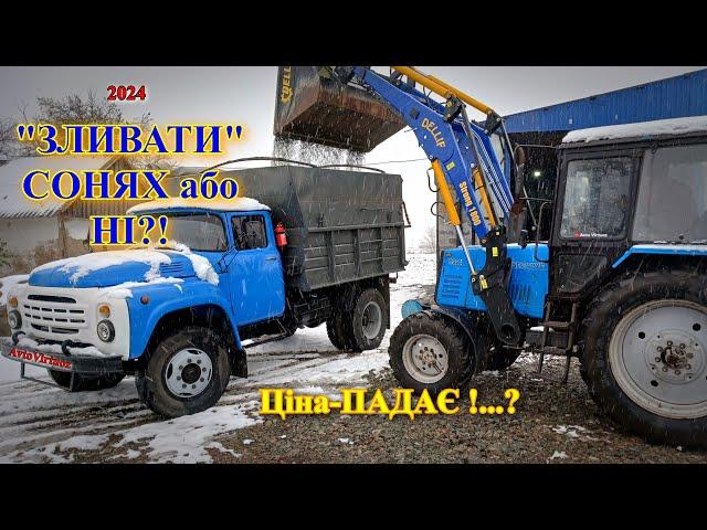 Здавати СОНЯХ зараз чи ні?!!Падіння цін на олію у СВІТІ.../14.11.24