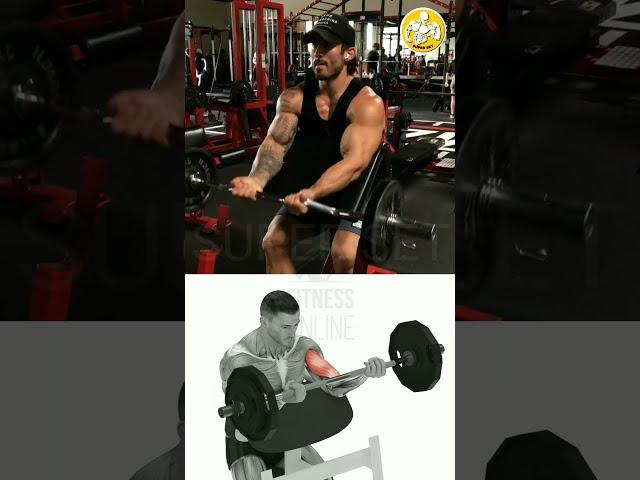 Best Biceps Exercise